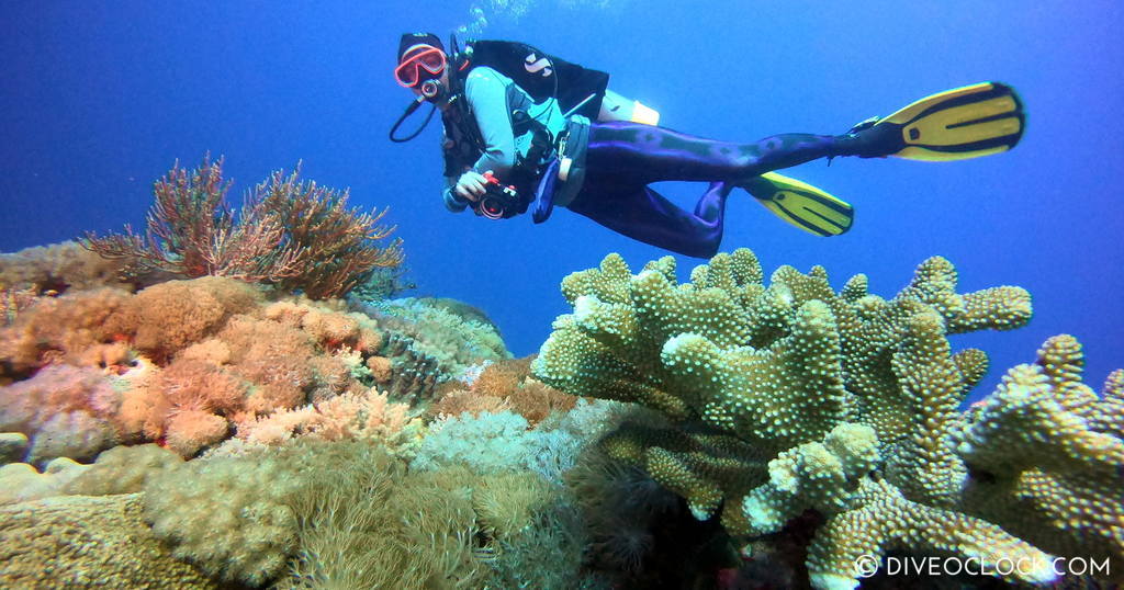 diveoclock scuba diving taiwan green island