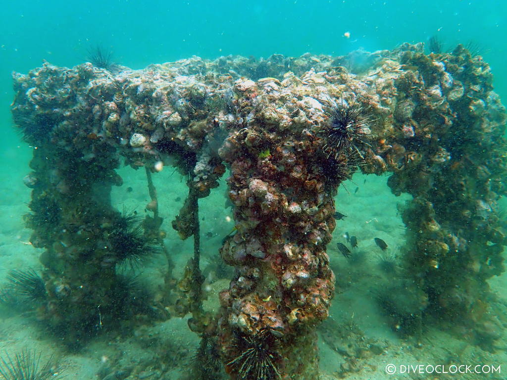 diveoclock_scuba_diving_ko_si_chang thailand artificial reef