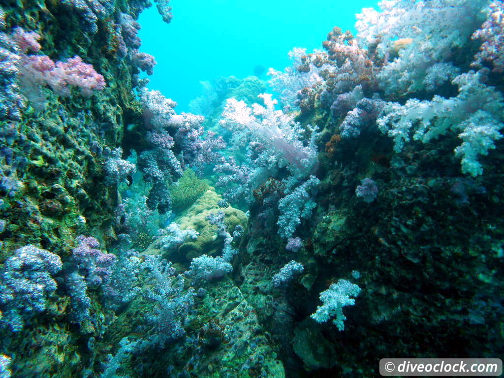 Koh Lipe The Best Dive Sites of Southern Thailand Koh Lipe Thailand Diveoclock 21