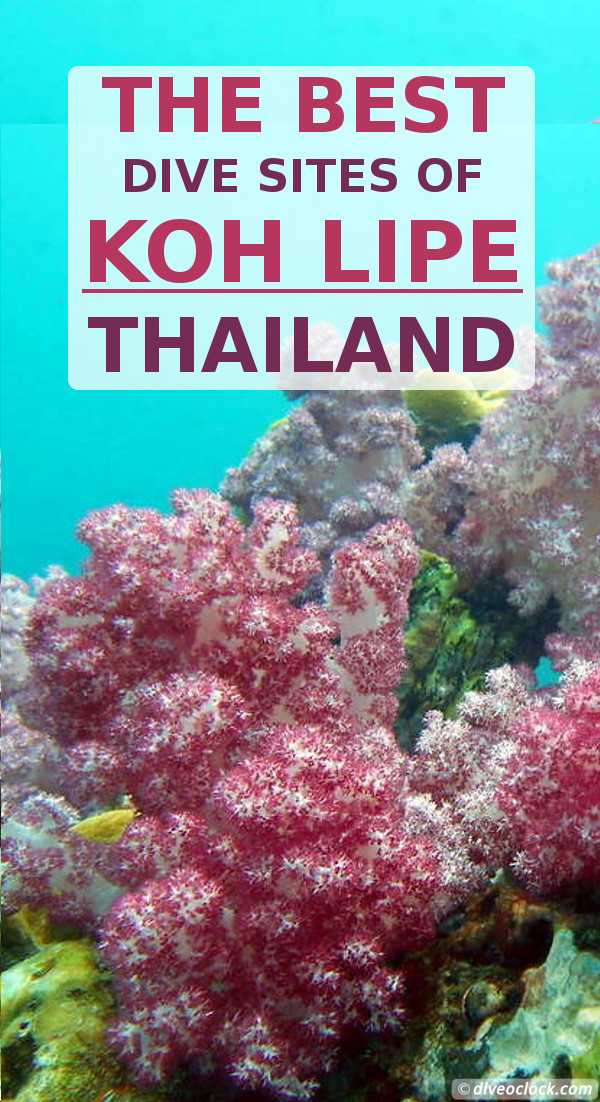Koh Lipe - The Best Dive Sites of Southern Thailand