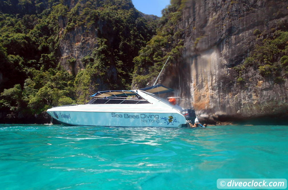 Koh Phi Phi Awesome SCUBA Diving in The Andaman Sea Thailand  Koh Phi Phi Thailand Diveoclock 16