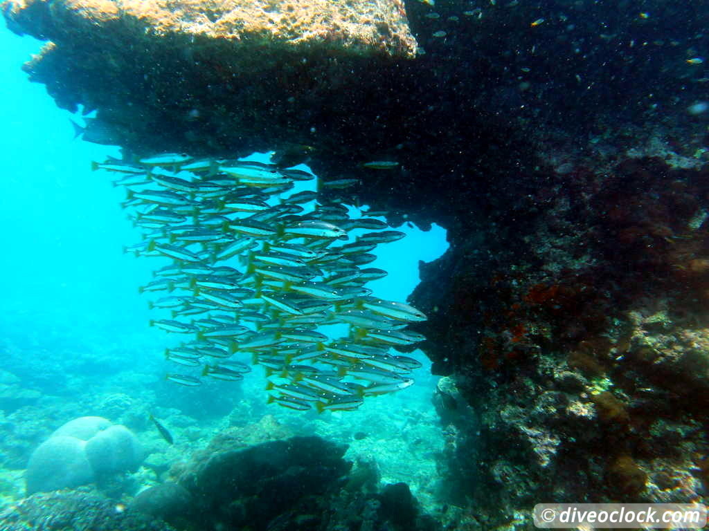 Koh Phi Phi Awesome SCUBA Diving in The Andaman Sea Thailand  Koh Phi Phi Thailand Diveoclock 6