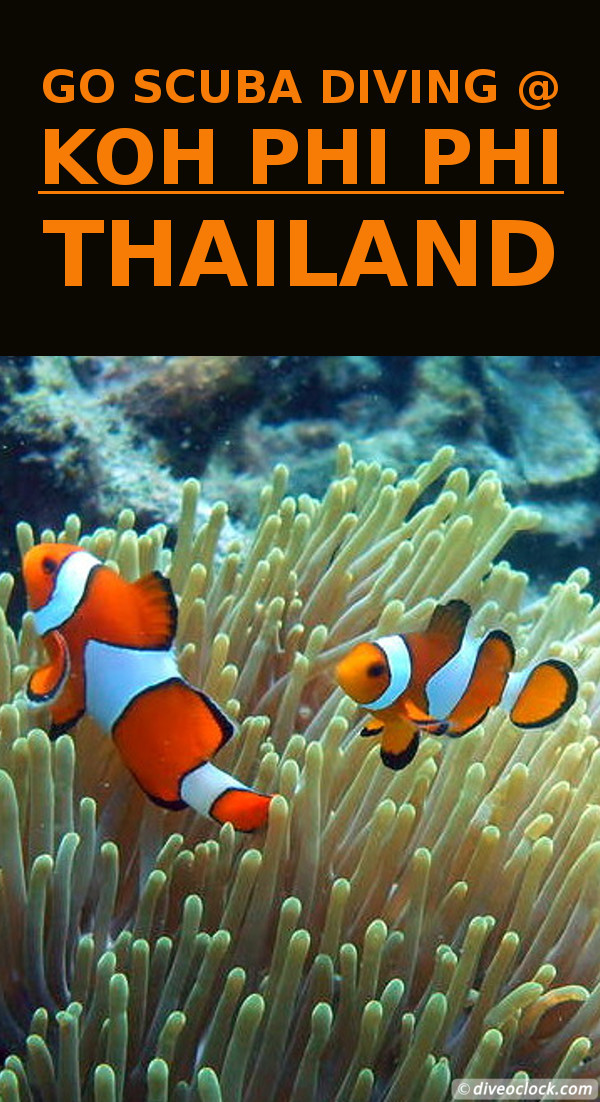 Koh Phi Phi - Awesome SCUBA Diving in The Andaman Sea (Thailand)