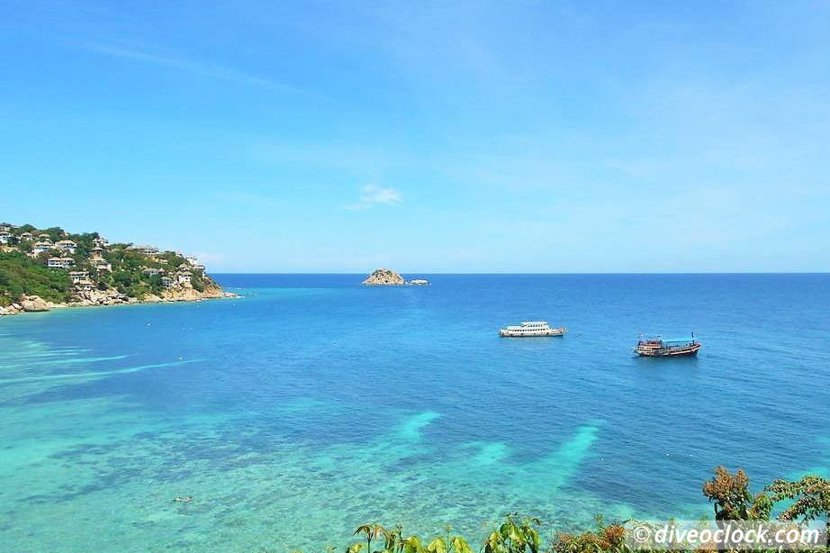 Koh Tao How to Organize Diving at this Hot Spot in Thailand Tips from a PRO Koh Tao Thailand Diveoclock 30