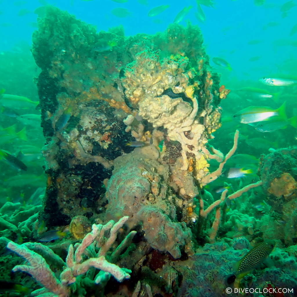 diveoclock_scuba_diving_pattaya_wrecks_jomtien_thailand