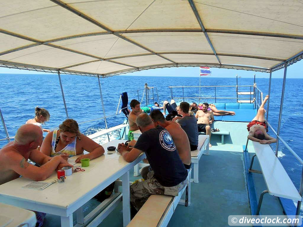 Sail Rock Koh Tao  The Best Dive Spot in the Gulf of Thailand  Sail Rock Thailand Diveoclock 39