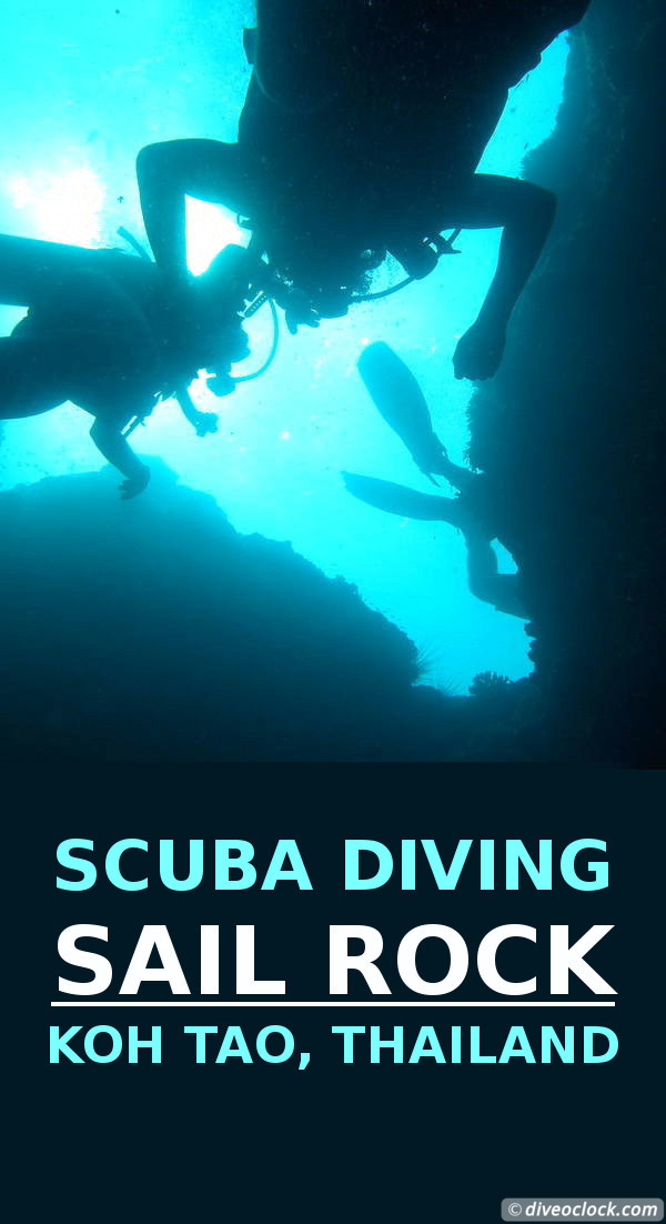 Sail Rock (Koh Tao) - The Best Dive Spot in the Gulf of Thailand!