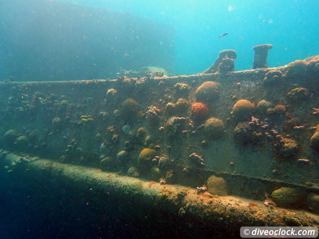 Barbados Exploring The Wrecks and Turtles of Carlisle Bay Barbados Carlisle Diveoclock 12