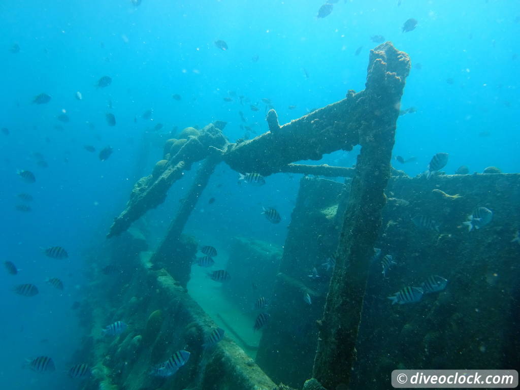 Barbados Exploring The Wrecks and Turtles of Carlisle Bay Barbados Carlisle Diveoclock 17