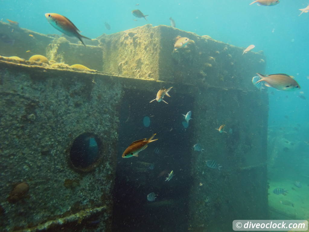 Bridgetown: Carlisle Bay Turtle and Shipwreck Boat Cruise