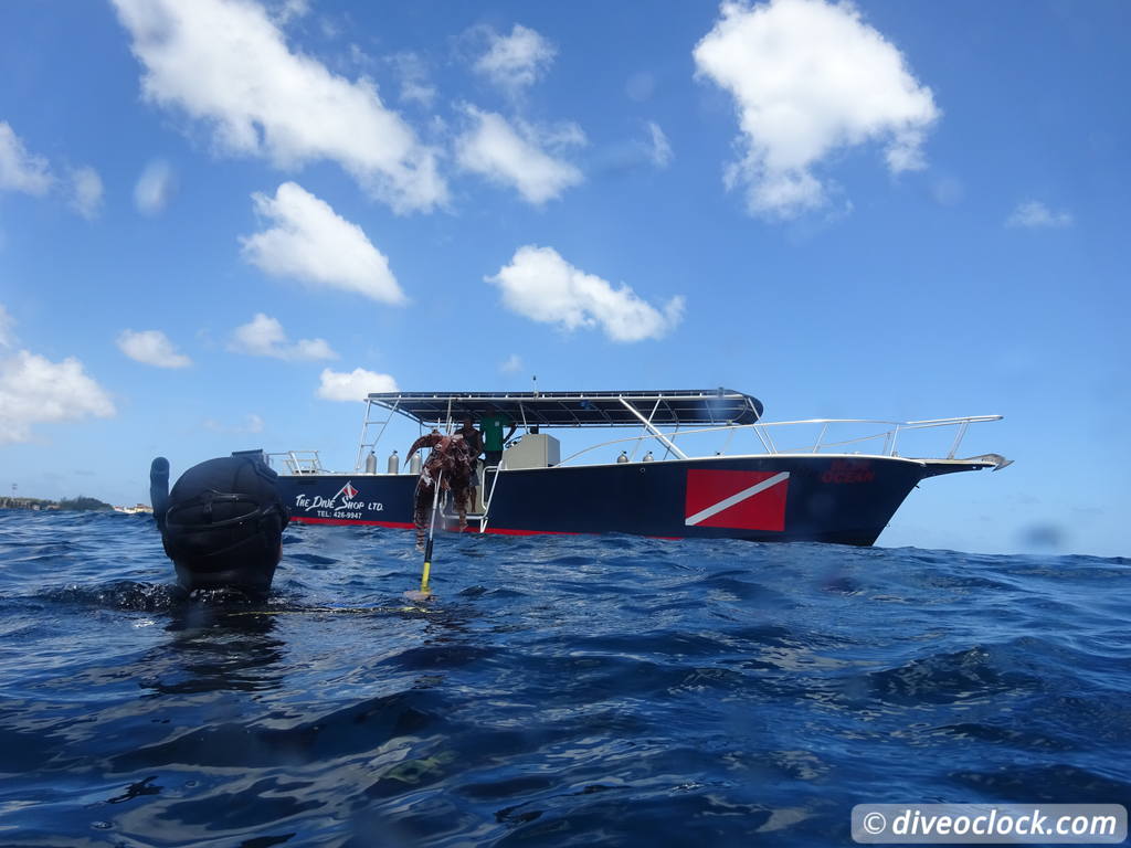 Diving the G Spot on Barbados  Barbados Diveoclock 40