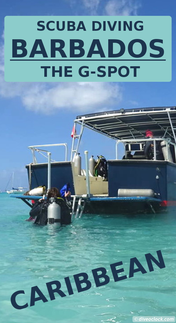 Diving the G-spot on Barbados!