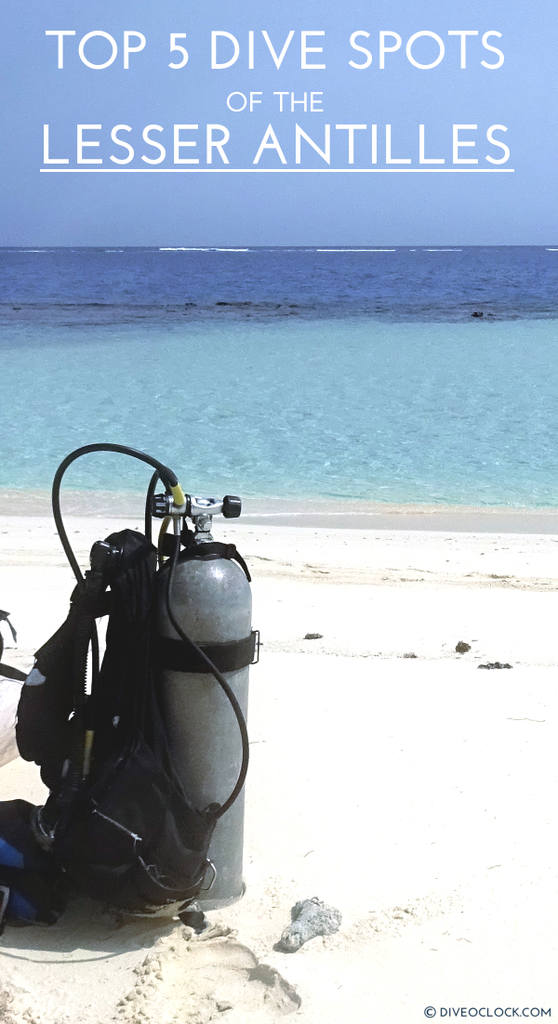 Top 5 Caribbean Dive Spots