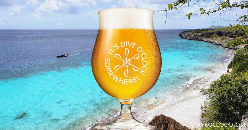 SCUBA Dive for FREE Help the Turtles on Bonaire  Caribbean Bonaire Beer 