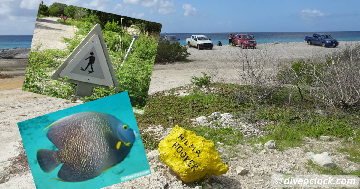 Florida Keys Selecting The Best Dive Area USA   Caribbean Bonaire Bonaire 