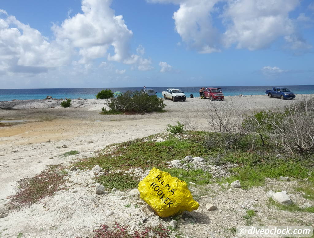 Getting the Best out of SCUBA diving Bonaire  Hilmahookerbonaire