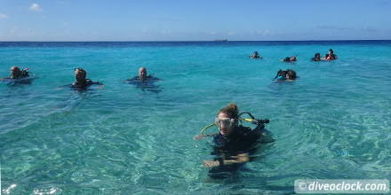 Getting the Best out of SCUBA diving Bonaire  Scubadiveoclock