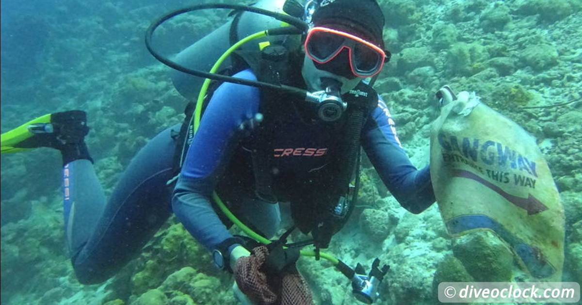 Counting fish in the name of science on Bonaire  Caribbean Bonaire Clean Up 