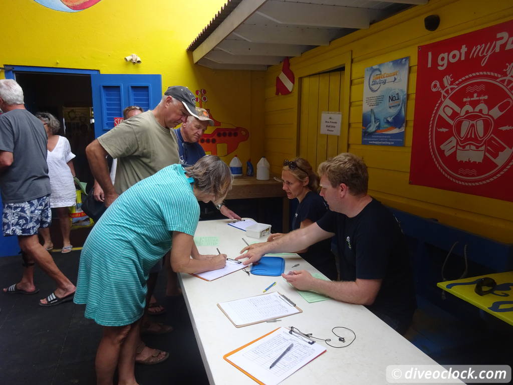 SCUBA Dive for FREE Help the Turtles on Bonaire Bonaire Underwater Clean Up 1