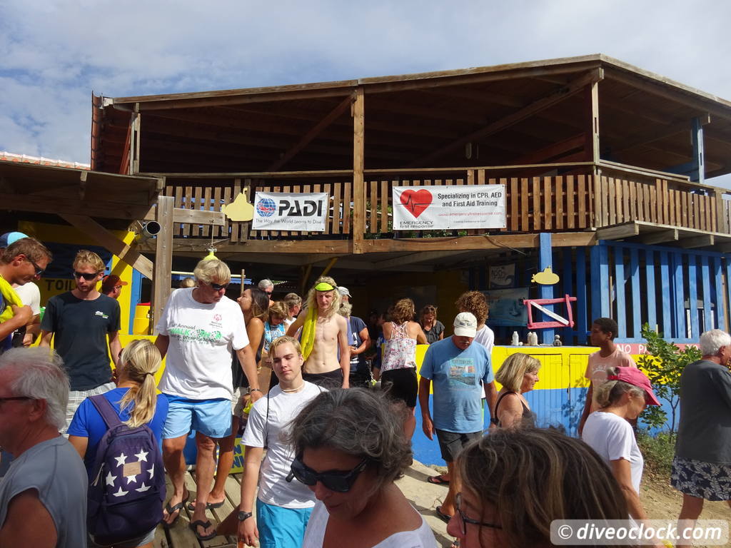 SCUBA Dive for FREE Help the Turtles on Bonaire Bonaire Underwater Clean Up 12