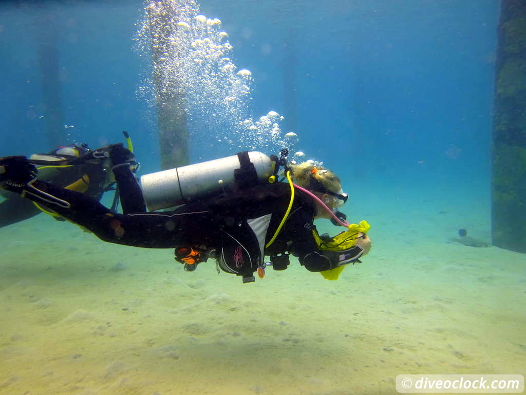 SCUBA Dive for FREE Help the Turtles on Bonaire Bonaire Underwater Clean Up 17