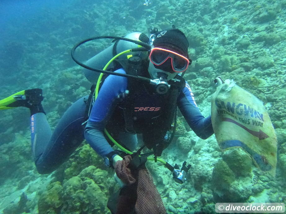 SCUBA Dive for FREE Help the Turtles on Bonaire Bonaire Underwater Clean Up 26