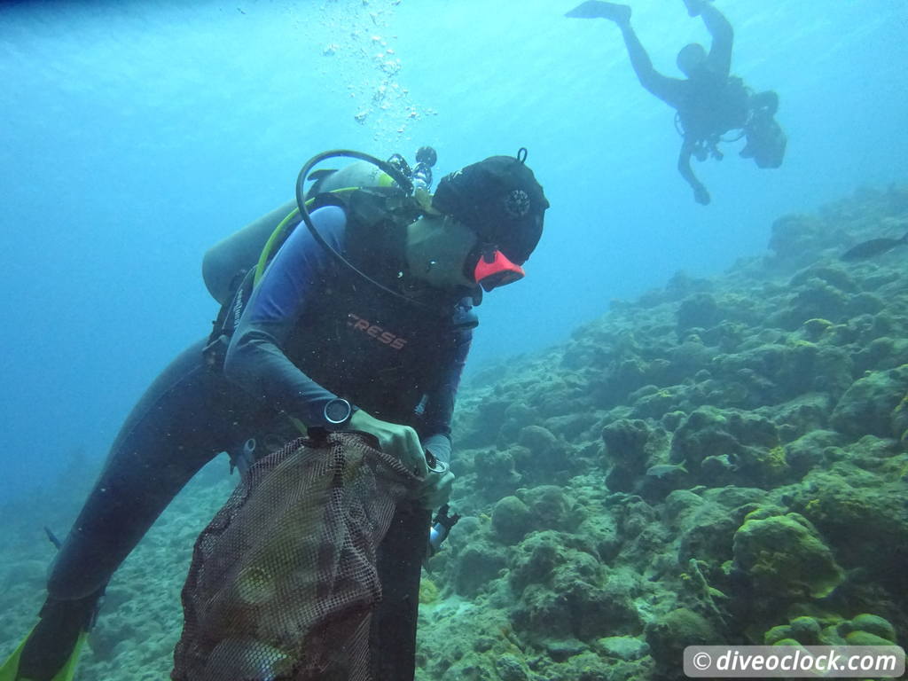 SCUBA Dive for FREE Help the Turtles on Bonaire Bonaire Underwater Clean Up 27