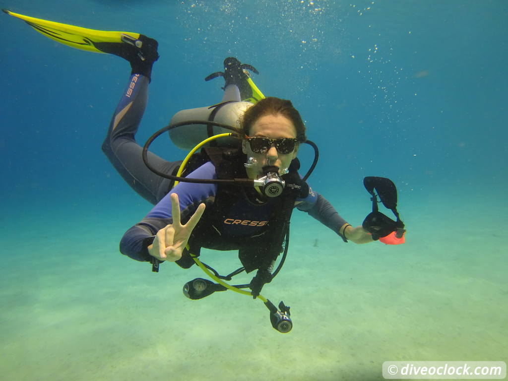 SCUBA Dive for FREE Help the Turtles on Bonaire Bonaire Underwater Clean Up 31