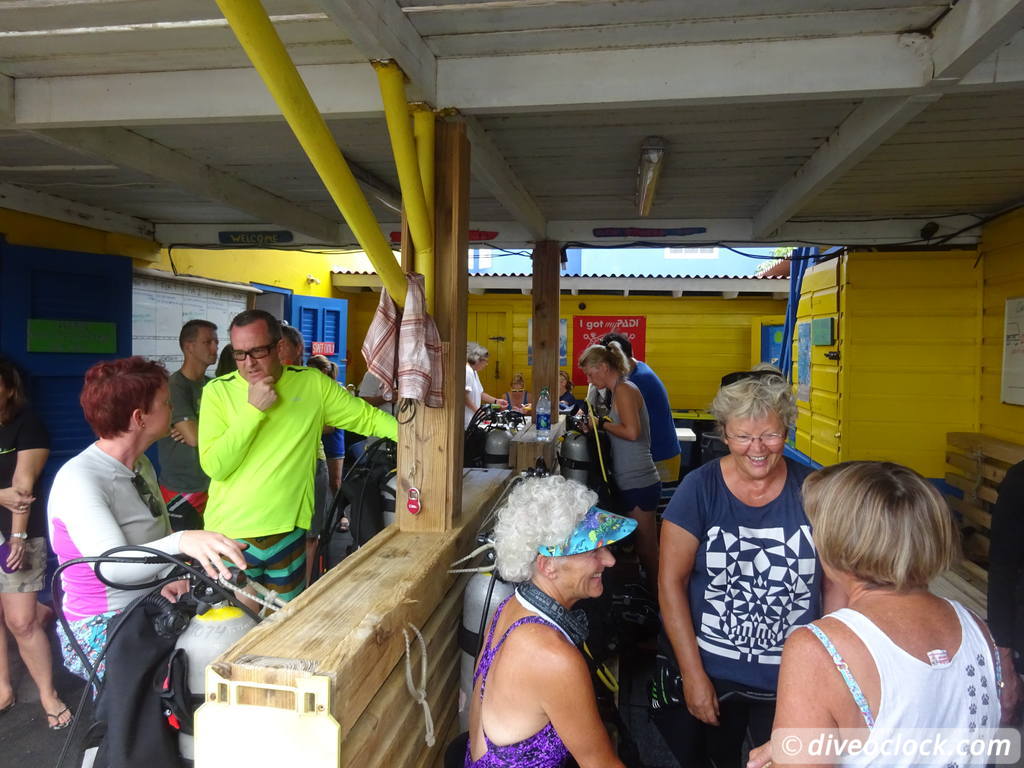 SCUBA Dive for FREE Help the Turtles on Bonaire Bonaire Underwater Clean Up 5