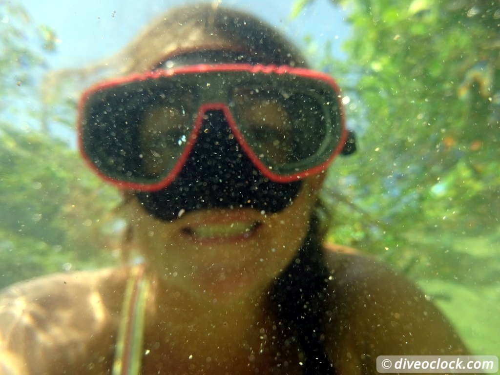 Mangrove Snorkeling on Bonaire A Truly Unique Experience Dive o'clock!