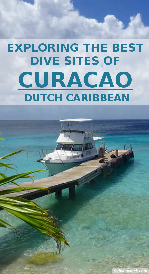 Curaçao - Exploring The Best Dive Sites of the Dutch Caribbean