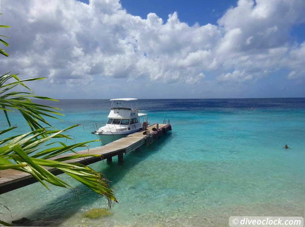 Curaçao Exploring The Best Dive Sites of the Dutch Caribbean Caribbean Curacao 32