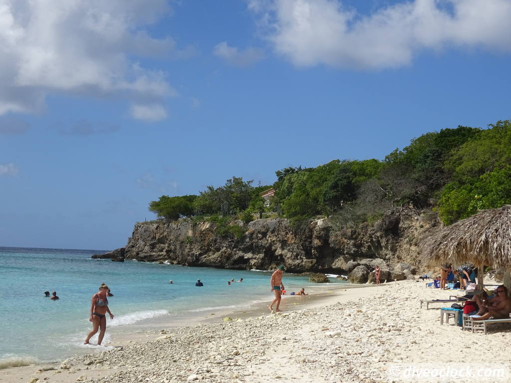 Curaçao Exploring The Best Dive Sites of the Dutch Caribbean Caribbean Curacao 52