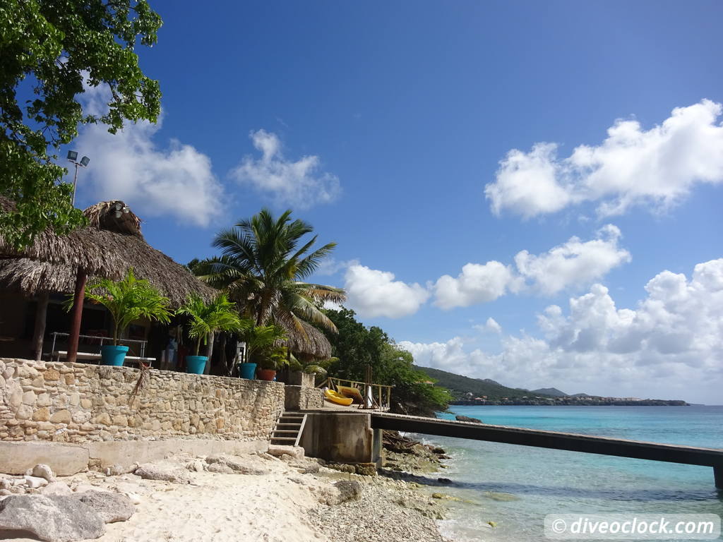 Curaçao Exploring The Best Dive Sites of the Dutch Caribbean Caribbean Curacao 53