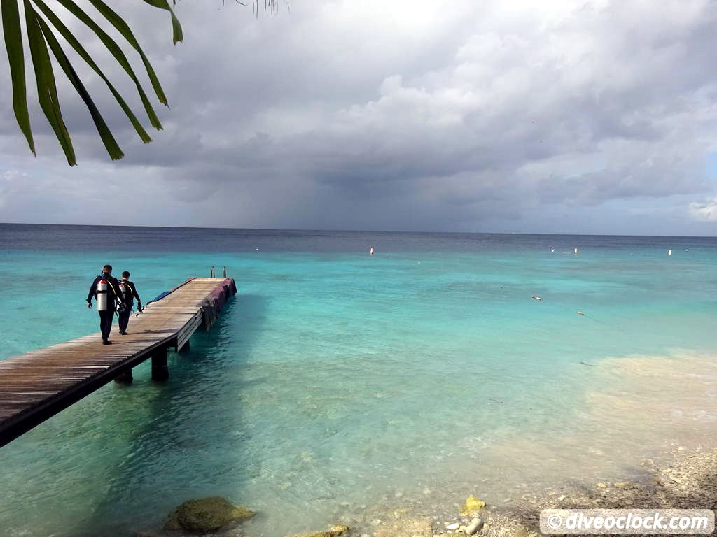 Curaçao Exploring The Best Dive Sites of the Dutch Caribbean Caribbean Curacao 6
