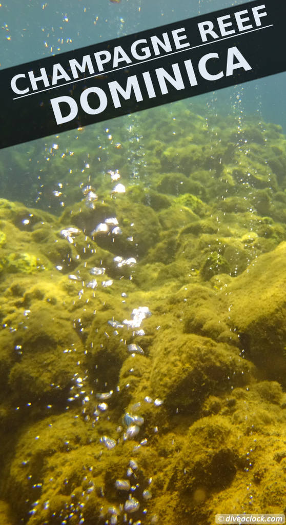 Dominica - Diving in Volcanic Bubbles at Champagne Reef