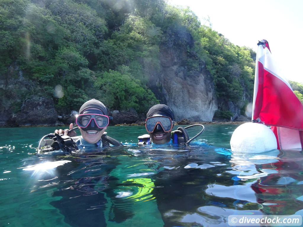 Dominica Diving in Volcanic Bubbles at Champagne Reef Dominica Champagne Diveoclock 14