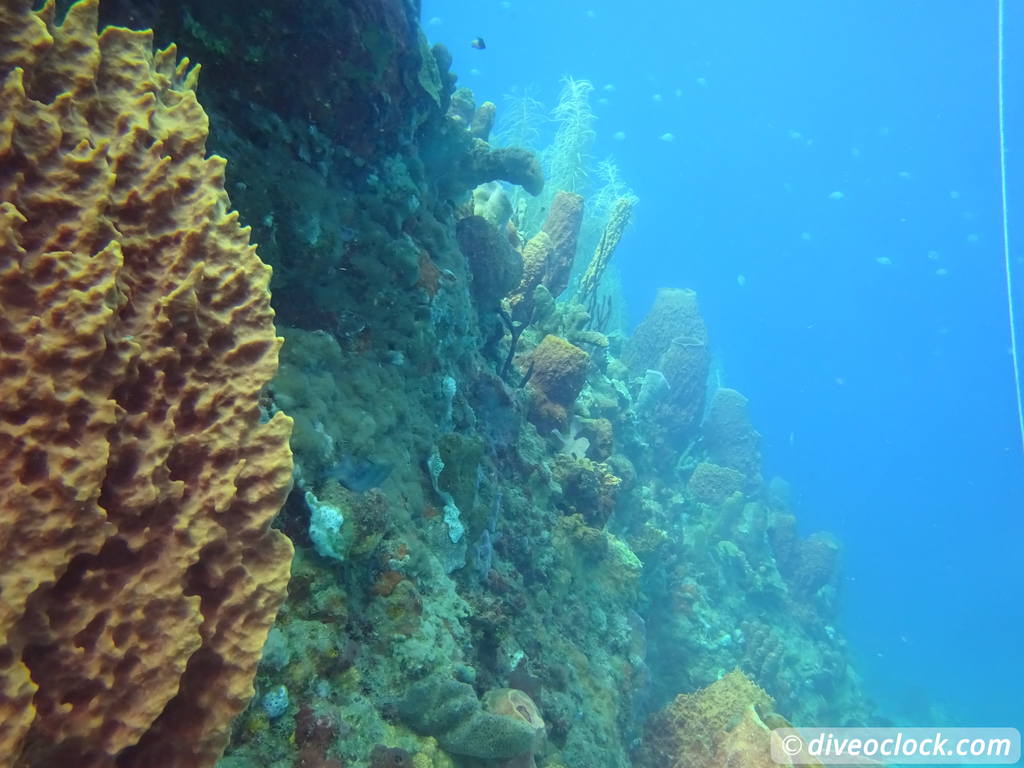 غواصی دومینیکا در حباب های آتشفشانی در Champagne Reef Dominica Champagne Diveoclock 24
