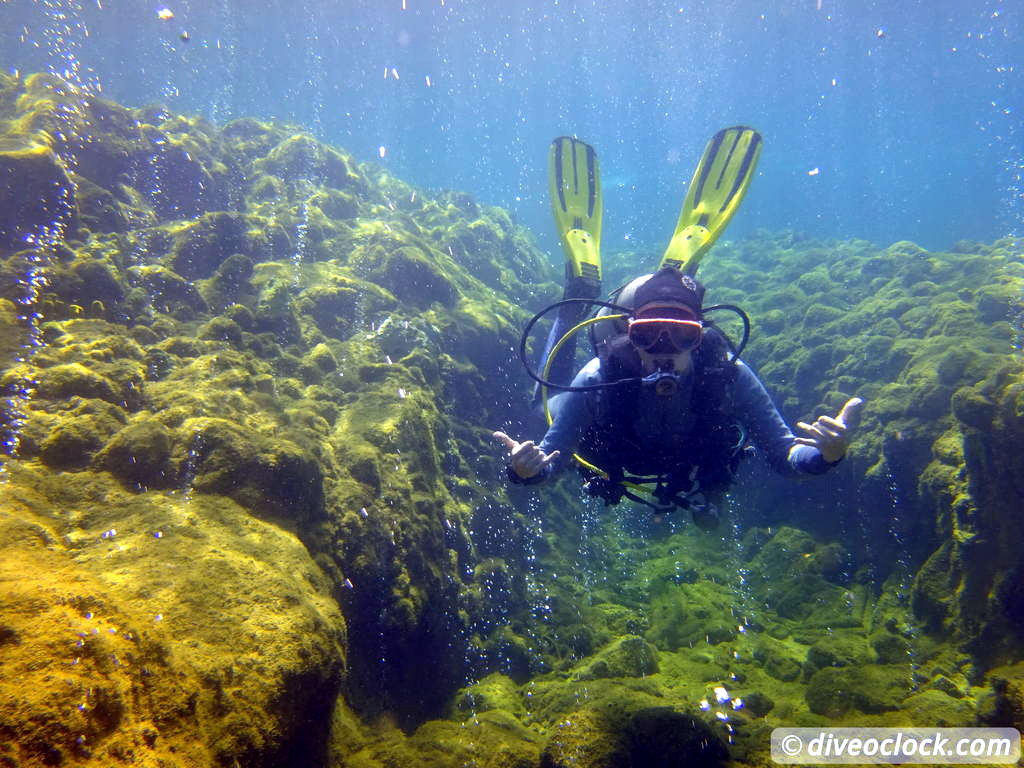 Dominica Diving in Volcanic Bubbles at Champagne Reef Dominica Champagne Diveoclock 61