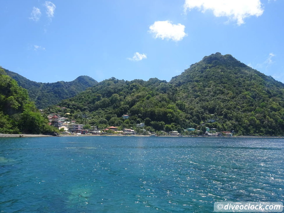 Soufriere Scotts Head Marine Reserve The Best Dive Spot in Dominica  Dominica Soufriere Diveoclock 26