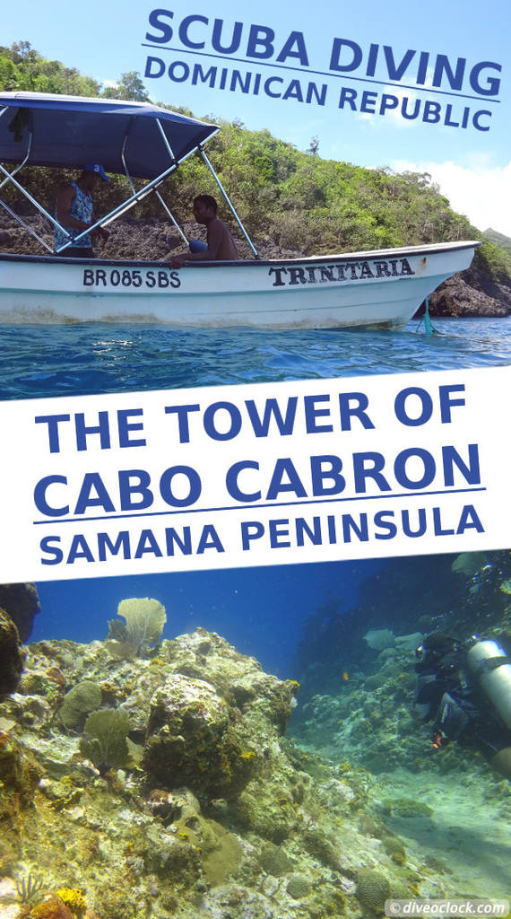 Samana Hot Spot: Diving The Tower of Cabo Cabron (Dominican Republic)!