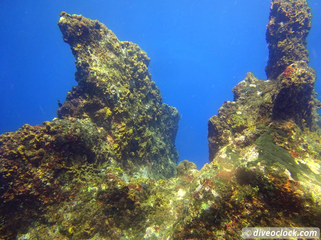 Samana Hot Spot: Diving The Tower of Cabo Cabron Dominican Republic  Dominicanrepublic Cabocabron Diveoclock 37