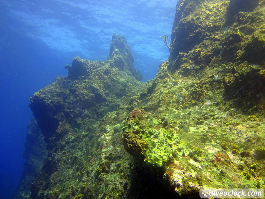 Samana Hot Spot: Diving The Tower of Cabo Cabron Dominican Republic  Dominicanrepublic Cabocabron Diveoclock 44