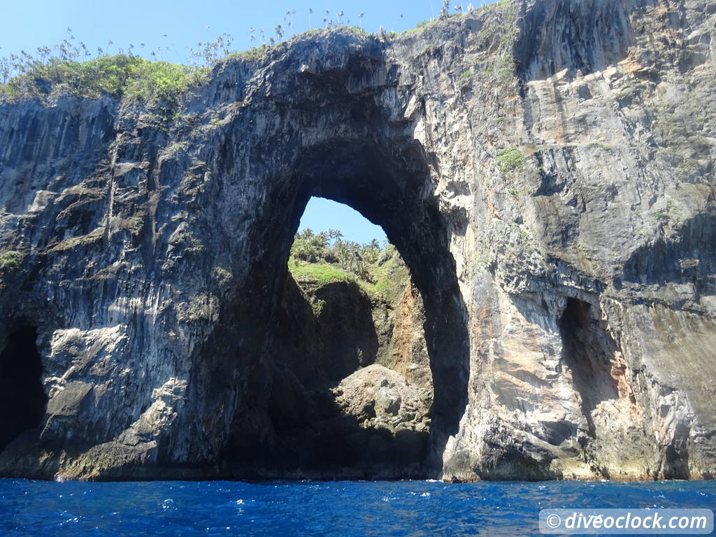 Samana Hot Spot: Diving The Tower of Cabo Cabron Dominican Republic  Dominicanrepublic Cabocabron Diveoclock 46