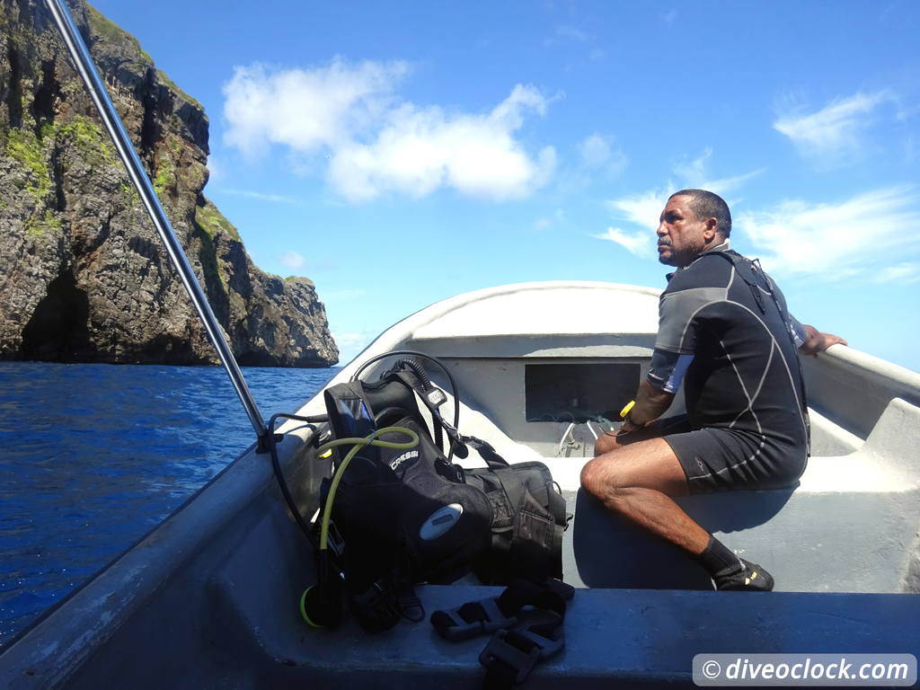 Samana Hot Spot: Diving The Tower of Cabo Cabron Dominican Republic  Dominicanrepublic Cabocabron Diveoclock 49