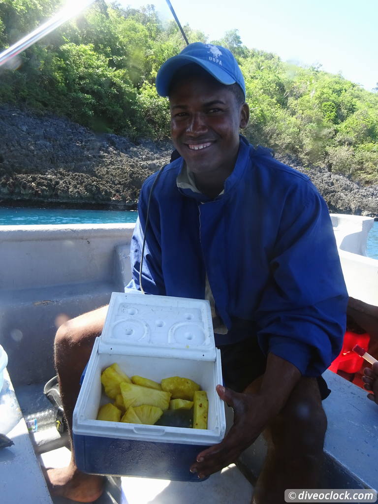 Samana Hot Spot: Diving The Tower of Cabo Cabron Dominican Republic  Dominicanrepublic Cabocabron Diveoclock 50