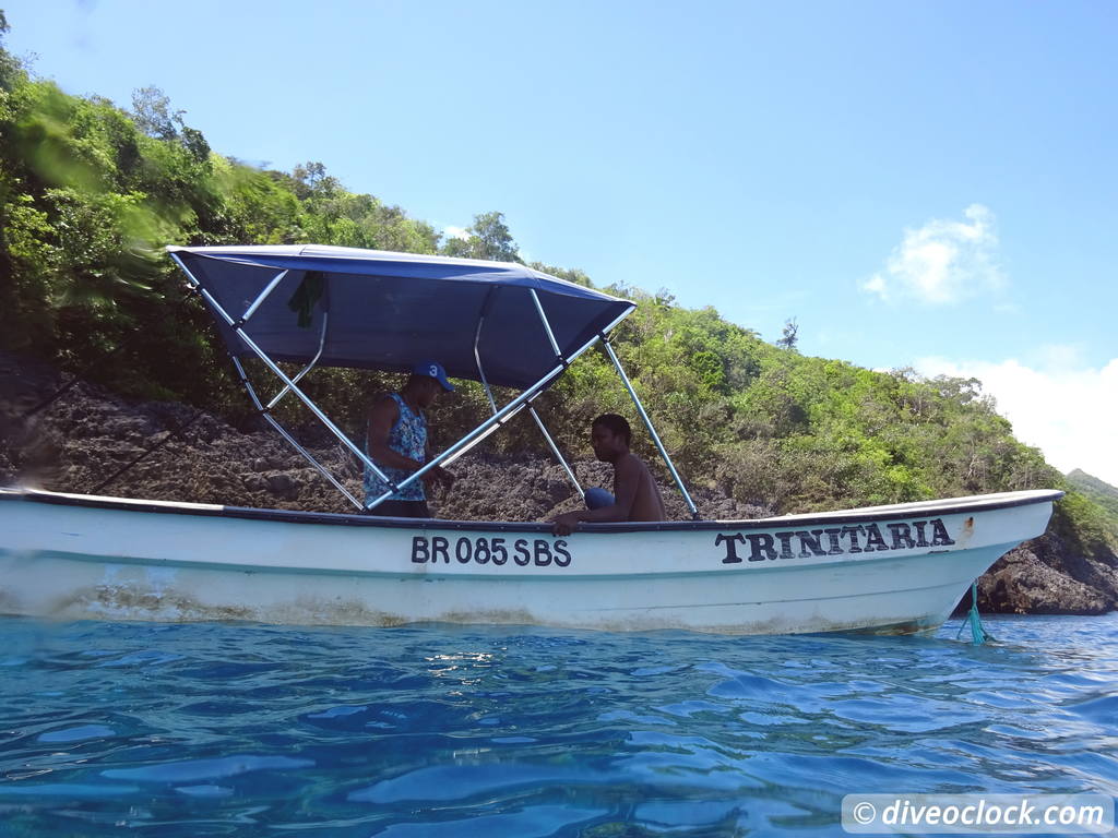 Samana Hot Spot: Diving The Tower of Cabo Cabron Dominican Republic  Dominicanrepublic Cabocabron Diveoclock 51