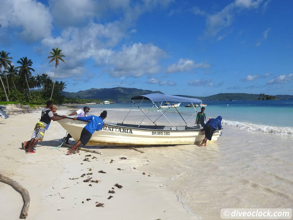 Samana Hot Spot: Diving The Tower of Cabo Cabron Dominican Republic  Dominicanrepublic Cabocabron Diveoclock 9