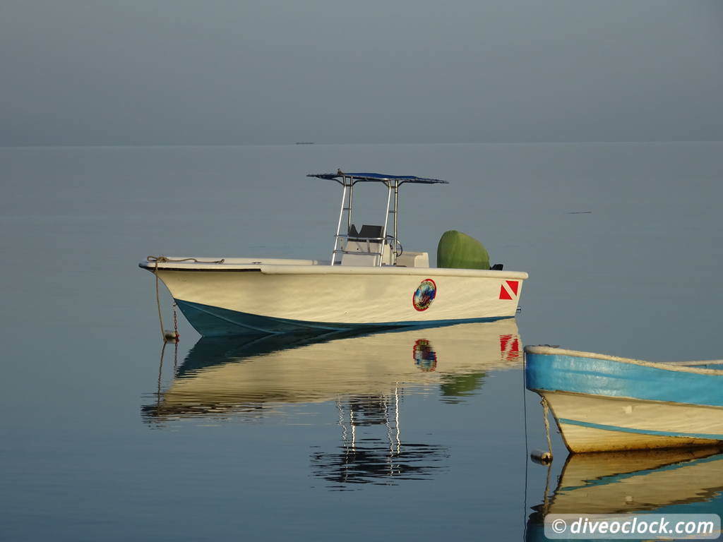 monte_cristi_dominican_republic_diveoclock-4.jpg