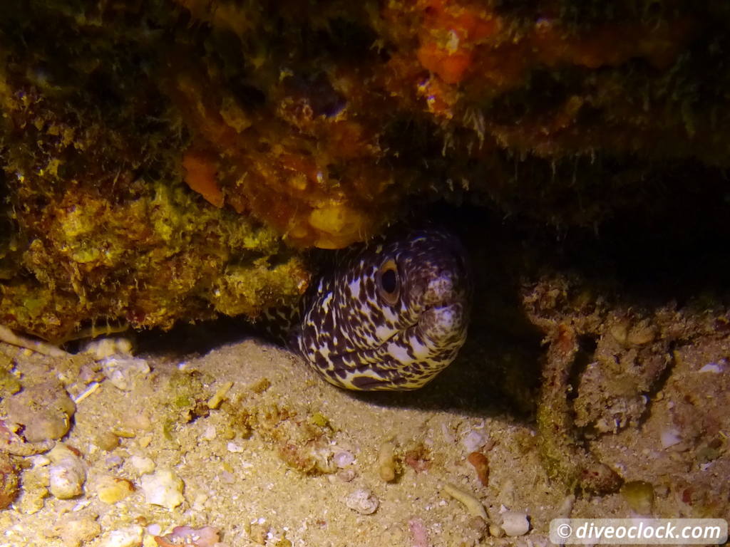 monte_cristi_dominican_republic_diveoclock-87.jpg